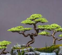 Wire Bonsai Sculpture Made By Steve Bowen By Bowenbonsai On Deviantart Wire Tree Sculpture Bonsai Bonsai Wire