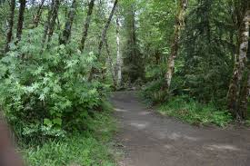 Beginning wednesday, sept 9 at 1 p.m. Clatsop State Forest State Forest Oregon Coast Country Roads