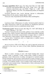 Image result for Tragia hildebrandtii