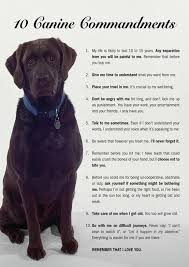 This Almost Makes Me Cry And Looks Kinda Like Macy Dog Love Baby Dogs Dogs