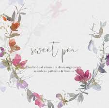 Download Buy Now Delicate Watercolor Sweet Pea Clipart Tender Flowers Flower Clipart Sweet Pea Clip Art