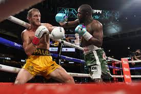 How much is the floyd mayweather vs logan paul fight purse? Xn6okxaxezhpm