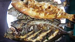 Kerap beralasan demi waktu dan harus memburu tiba tepat waktu. 10 Ikan Yang Cocok Diolah Dengan Cara Dibakar Tertarik Mencoba