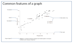 creating scientific graphs and tables displaying your data