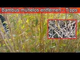 Pin Auf Garten Unkraut Schnecken Blattlause