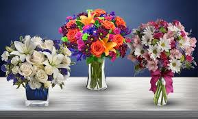 Check spelling or type a new query. Blooms Today From 16 Dayton Groupon