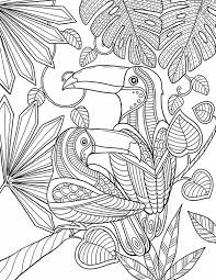 Pin On Free Printable Coloring Pages