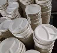 Biodegradable Sugarcane Bagasse Plates