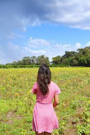 Flower field in the woods. 15 Breathtaking Flower Fields Around The World That You Have To Frolic In Yoga Wine Travel