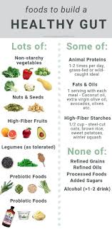 Dysbiosis Is Your Gut Bacteria Causing Sugar Cravings Food Farmacist Rd Microbiome Diet Diet And Nutrition Healthy Gut