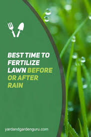 Beside above, can i spray 24d before rain? Best Time To Fertilize Lawn Before Or After Rain
