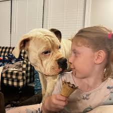 Ashley Mullis Johnson (@ashley_nicole1517) • Instagram photos and videos