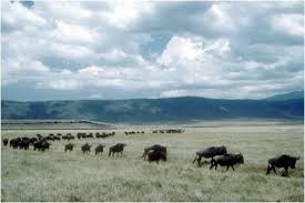 Mar 29, 2013 · the above code works fine as long as the page does not contain vertical scroll bar, it it has max height this does not work. Period 5 Brehm