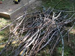 How to build a backyard teepee for free? How To Build A Backyard Teepee For Free Gardens That Matter