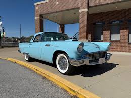 Image result for Starmist Blue 1957 Thunderbird