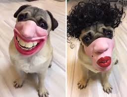 Amazon Is Selling Nightmarish Face Masks For Dogs And We Have One ...