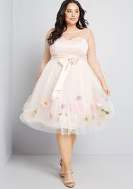Blush Or Light Pink Plus Size Dresses Soft Pink Plus Size Dresses For Women Pink Plus Size Dresses Fit And Flare Dress Flare Dress