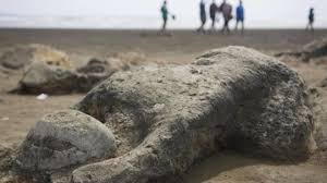 Maybe you would like to learn more about one of these? Cerita Malin Kundang Si Anak Durhaka Cerita Rakyat Sumatera Barat