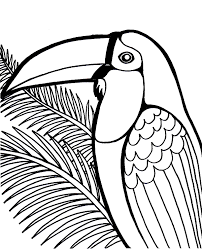 Toucan coloring pages animal printable sheets toucan rest after hunting 2021 4832 coloring4free. Vivid Toucan Coloring Image Topcoloringpages Net