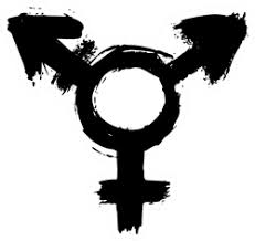 Male and female sign, transgender, hermaphrodite (in entomology). Transgender Symbol In Black Paint Sticker