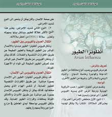 مطوية عن انفلونزا الطيور
