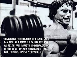 Dietkart Blog How To Find The Best Supplement For Bodybuilding Bodybuilding Motivation Quotes Bodybuilding Quotes Schwarzenegger Bodybuilding