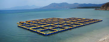 Kkp Segera Terapkan Teknologi Kja Berbasis Off Shore Kkp News