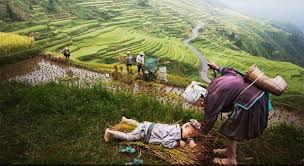 Cel puțin 12,9 milioane de copii din întreaga lume, aproape unul din zece, nu a fost vaccinat în 2016, potrivit estimărilor publicate luni de unicef și organizația mondială a sănătății. Imagini Puternice Cu Copii Din Intreaga Lume CopilÄria In Diferite ColÅ£uri Ale Lumii