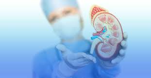 Stem Cell Therapy For Kidney Disease In Delhi, India | Treatment For Kidney  Failure
