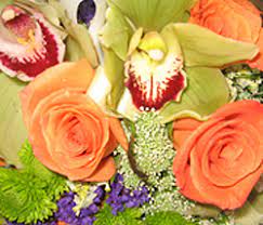 Maybe you would like to learn more about one of these? About Us And Business Hours Tubbs Of Flowers Inc Corpus Christi Tx 78411