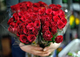 Rose rosse per amore, san valentino, anniversario ecc. San Valentino Tra Regali E Viaggi Idee Per Festeggiare Speciali Ansa It