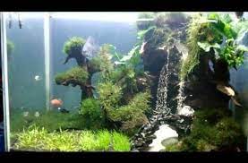 Pirdot Contoh Desain Air Terjun Aquscape Waterfall In 2021 Aquascape Aquarium Landscape Aquarium