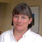 Circular Dome Skylight Case Study