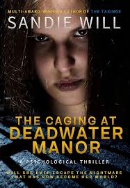 The Caging at Deadwater Manor: An Intense Insane Asylum Psychological  Horror eBook : Will, Sandie: Kindle Store