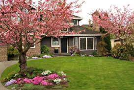 What flowering trees do you have in your yard? Front Yard With Dogwood Trees In Bloom Homeyou