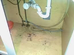 Replacing The Under Sink Cabinet Floor Sink Cabinet Under Kitchen Sinks Under Sink