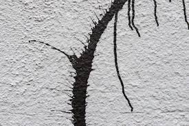 Dripping Black Spray Paint Splatter On White Wall Texture Background Stock Photo Picture And Royalty Free Image Image 78030809