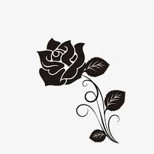Black Roses Decorated Cartoon Rose Vector Rose Grey Rose Png Transparent Clipart Image And Psd File For Free Download Cartoon Rose Grey Roses Black Rose