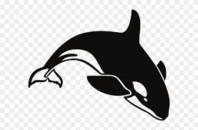 On this page you may find the black and white whale crossword clue. Killer Whale Humpback Whale Clip Art Black And White Whale Free Transparent Png Clipart Images Download