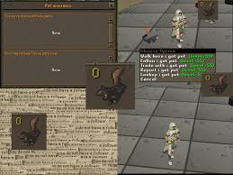 One of the things players can do in runescape is raise pets. I Lost My Pet To A Game Bug Without Dying And It Was Uninsured Rip Squirrel Rip First Ever Pet 2007scape