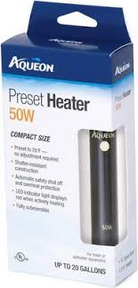 Aqueon Preset Aquarium Heater 100 Watt Chewy Com Aquarium Heater Community Fish Tank Aquarium
