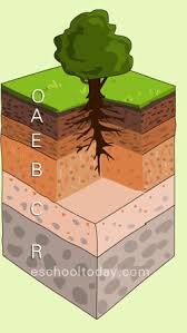 what is a soil profile