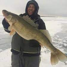 Huge Catch Sandusky Register Lake Fishing Walleye Lake Erie Fishing
