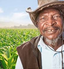 Realisation of Full Potential of the Agriculture Sector: