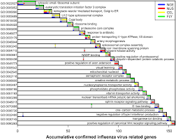 Seasonal influenza is an acute respiratory infection caused by influenza viruses which circulate in all parts of the world. Plos Computational Biology Limited Agreement Of Independent Rnai Screens For Virus Required Host Genes Owes More To False Negative Than False Positive Factors
