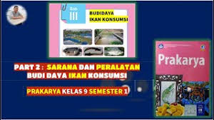 Konsumsi ikan di indonesia saat ini diperkirakan baru mencapai 18 kgkapita tahun. Prakarya Kelas 9 Smp Mts Budidaya Ikan Konsumsi Bagian 2 Sarana Dan Peralatan Budi Daya Youtube