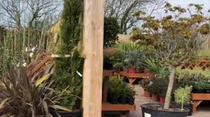 Pop In This Weekend To See What We Ve Lydstep Garden Centre