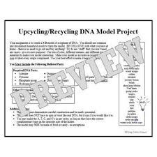 Dna Model Project Assignment Activity Ngss By Flying Colors Science Teachers Pay Teachers In 2020 Dna Model Project Dna Model Biology Worksheet