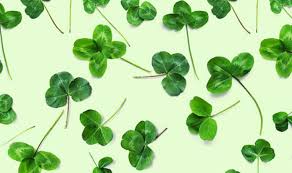 Your kids are sure to love these fun st. St Patrick S Day Books For Kids Adults Penguin Random House