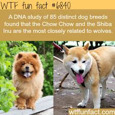 images?q=tbn:ANd9GcRglDbIZw2Ie0SyIkgv89b